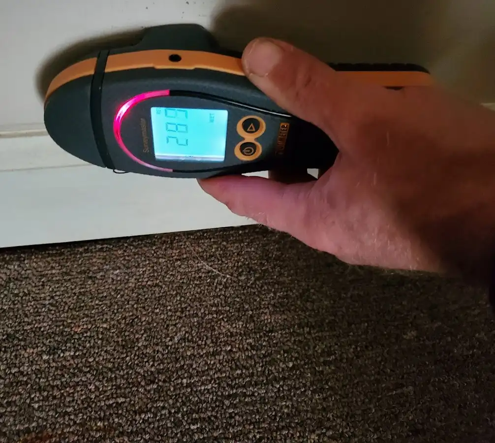 Moisture detection at baseboard during Sewage Cleanup & Sanitation in Clearlake